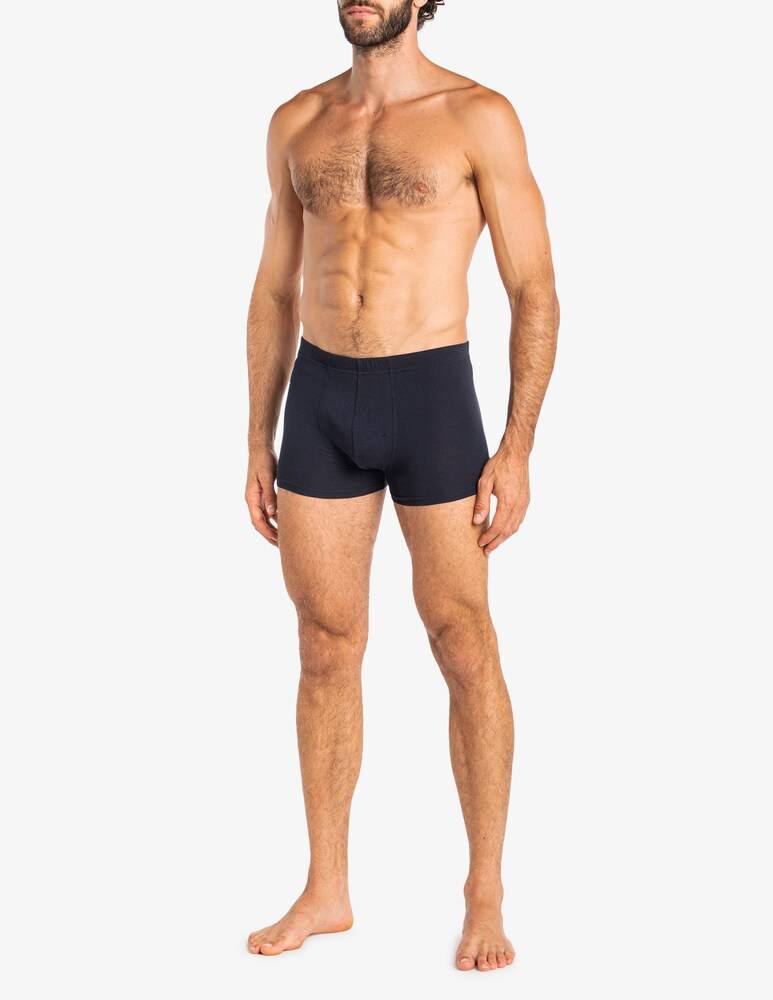 Julipet Imola Boxer
