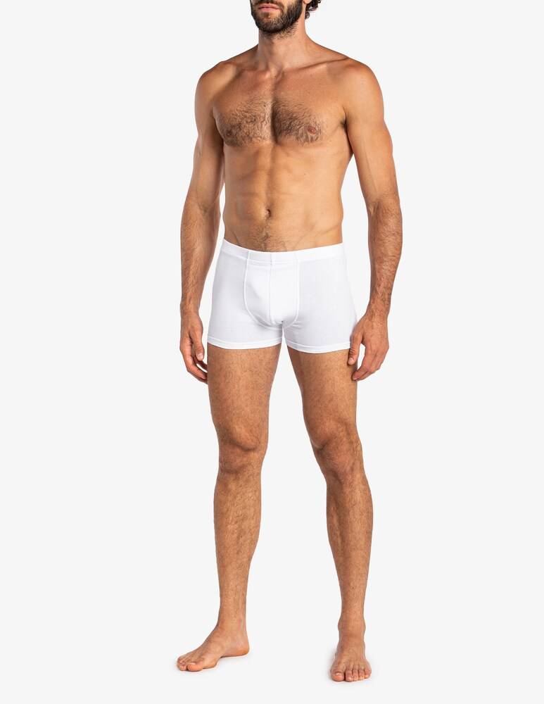 Julipet Imola Boxer