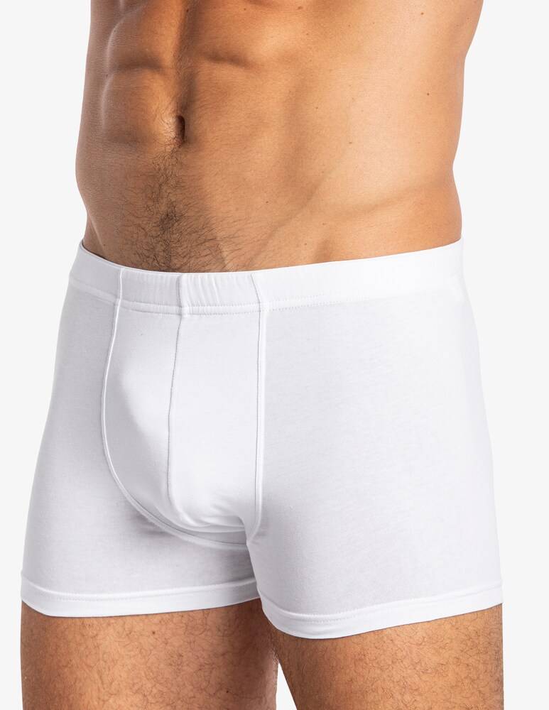 Julipet Imola boxer