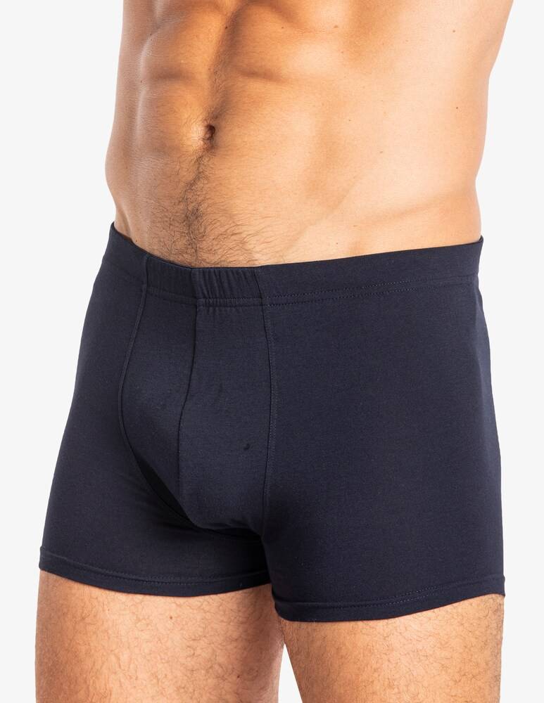 Julipet Imola boxer