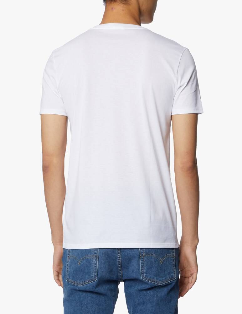 Lacoste T-shirt - Regular Fit In Cotone