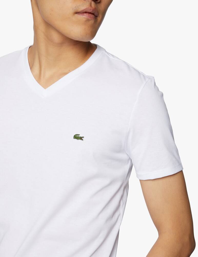 Lacoste T-shirt - Regular Fit In Cotone