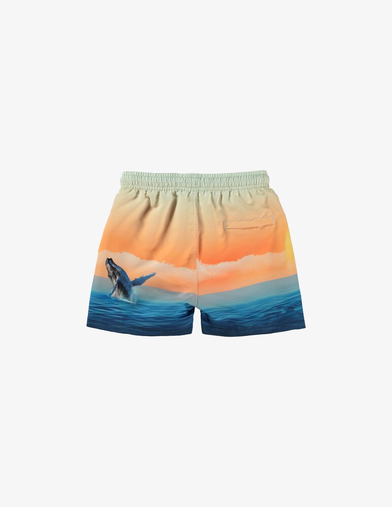 Molo Costume Da Bagno Niko