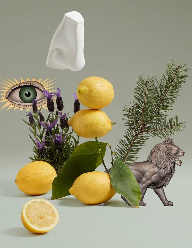 Penhaligon's Blenheim Bouquet Body & Hand Wash 