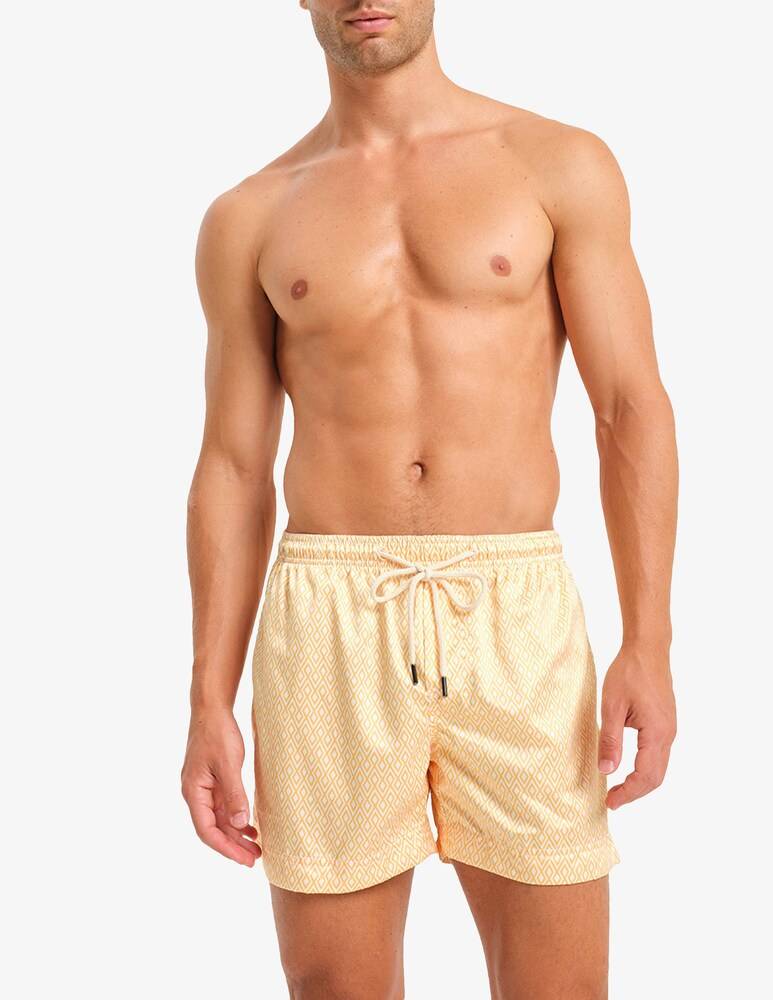 Peninsula Boxer grecale