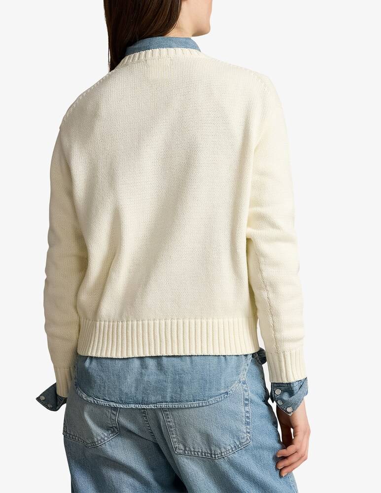 Polo Ralph Lauren Maglione In Cotone