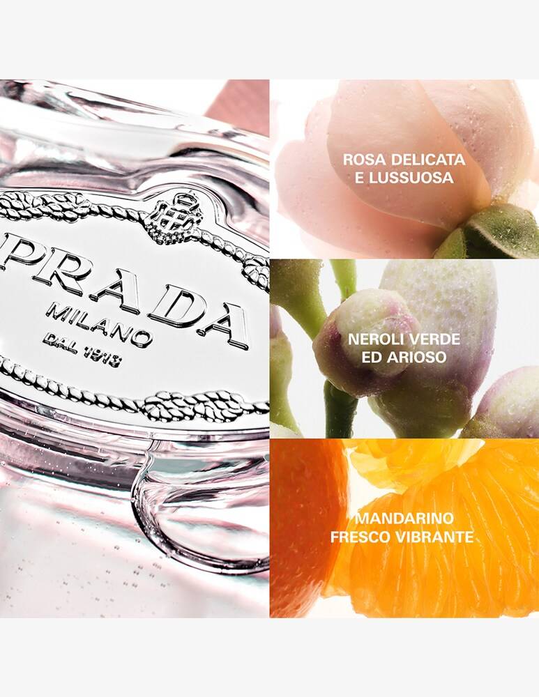 Prada Infusion De Rose Eau De Parfum