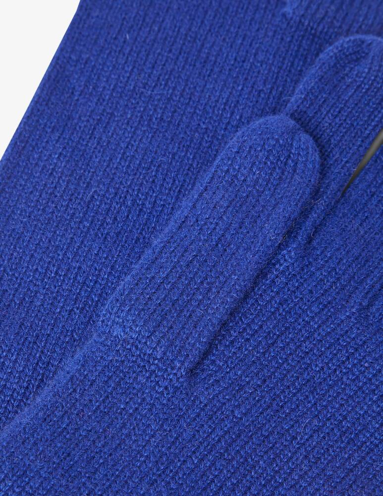 Pure Cashmere Guanto Lungo Rasato