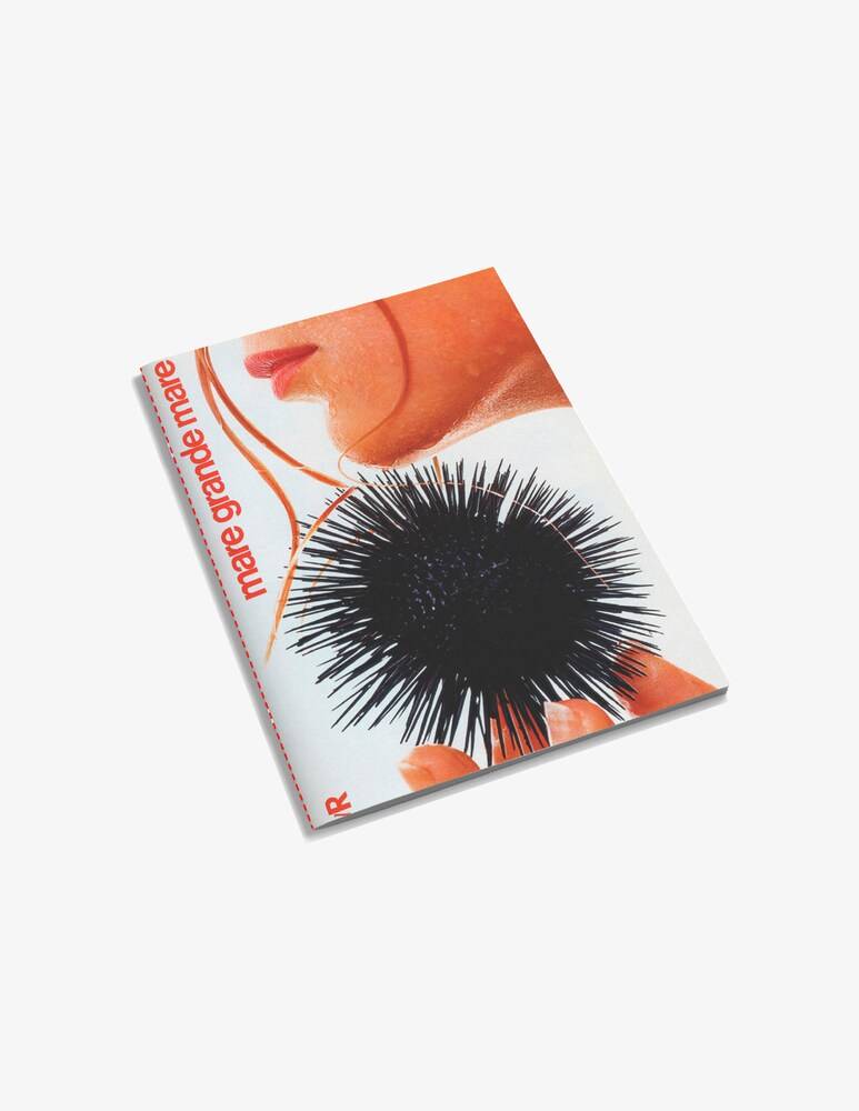 Rinascente Softbook Con Grafica Rinascente Heritage Gregorietti 04 A5