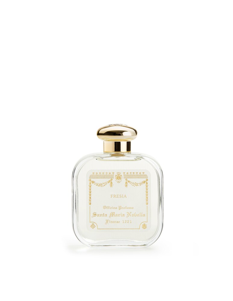 Santa Maria Novella Colonia Fresia Firenze 1221