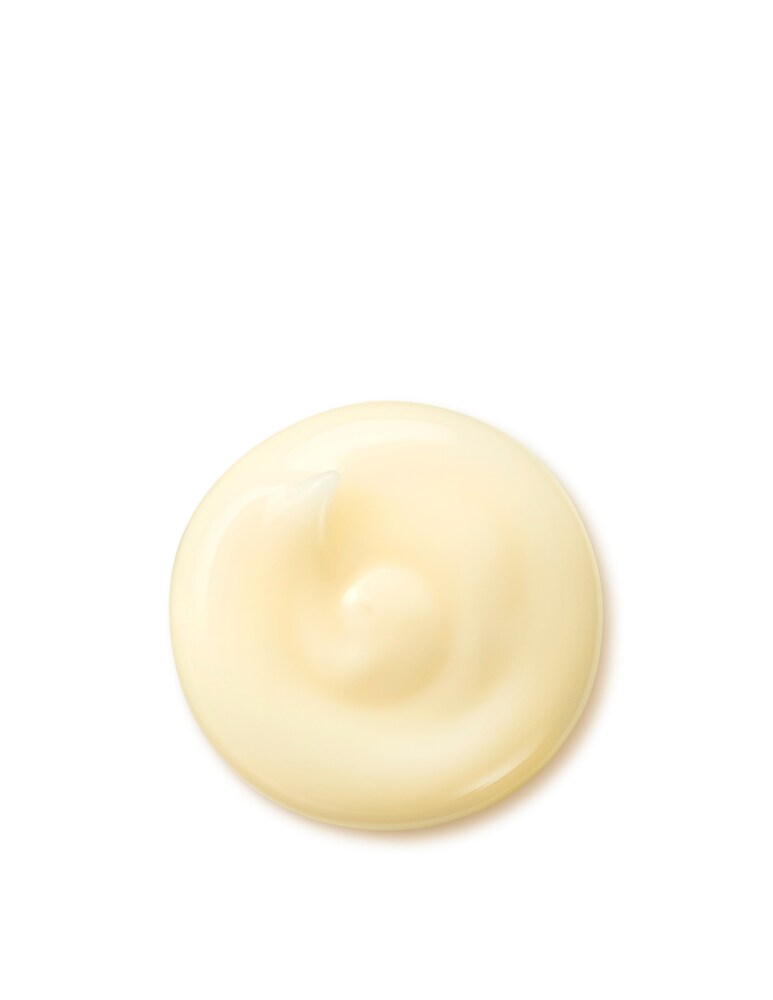 Shiseido Benefiance Wrinkle Smoothing Crema Antirughe