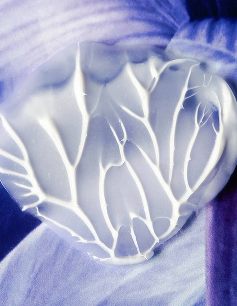 Sisley Crema Notte Soin Velours Aux Fleurs De Safran