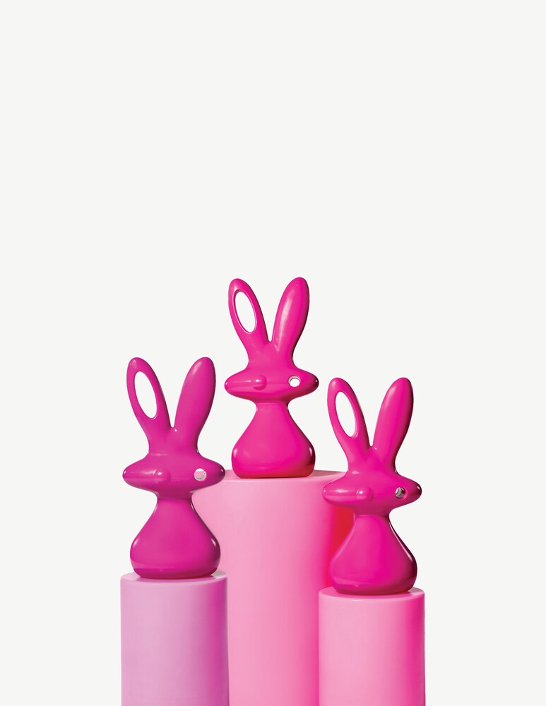 Slide Bunny