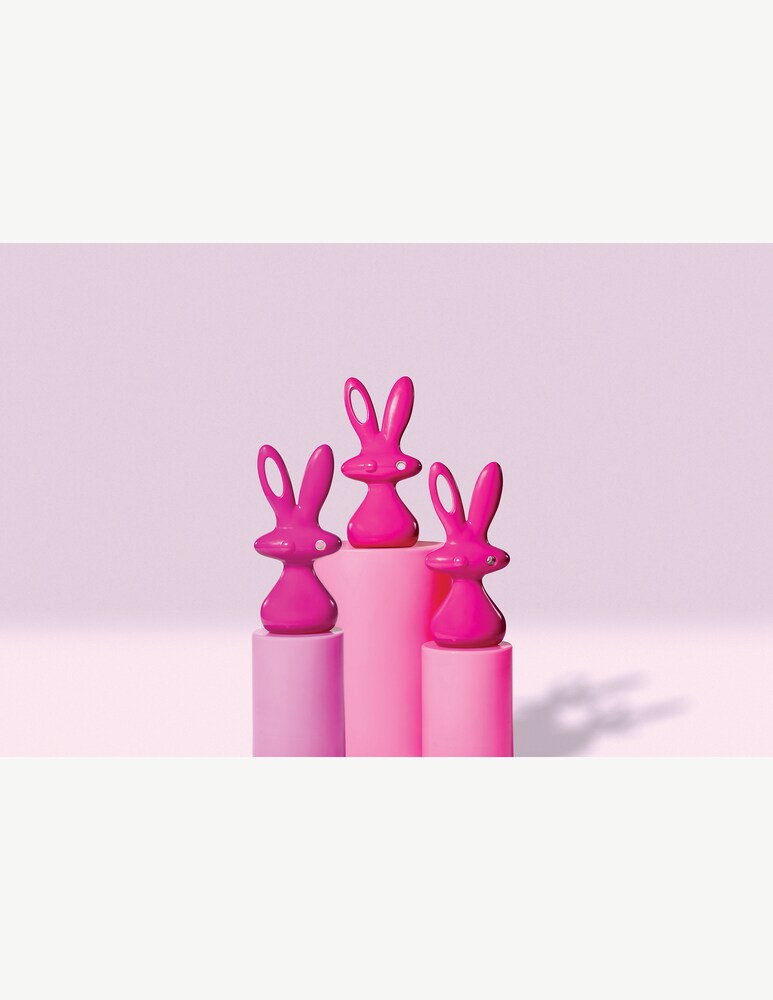 Slide Bunny