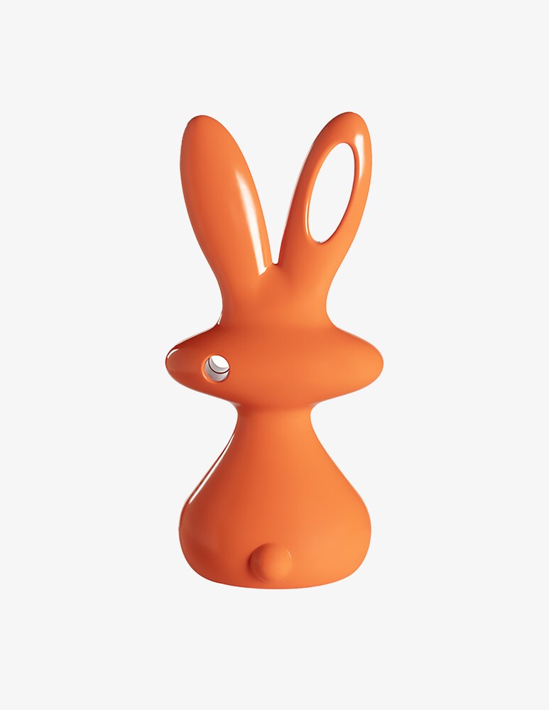 Slide Bunny