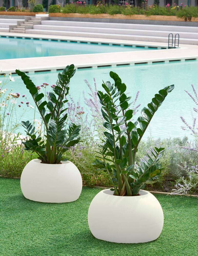 Slide Vaso Blos Pot