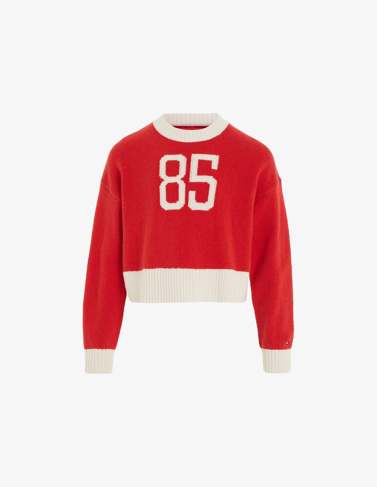 Tommy Hilfiger Maglione In Cotone