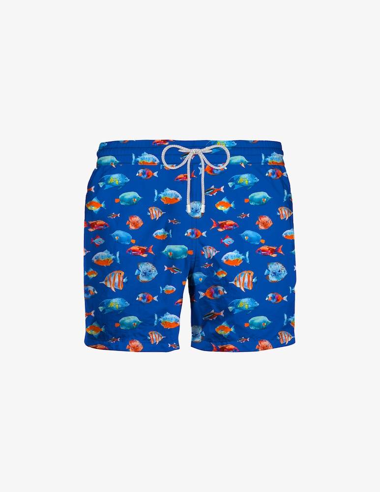 Zeybra Boxer pesci