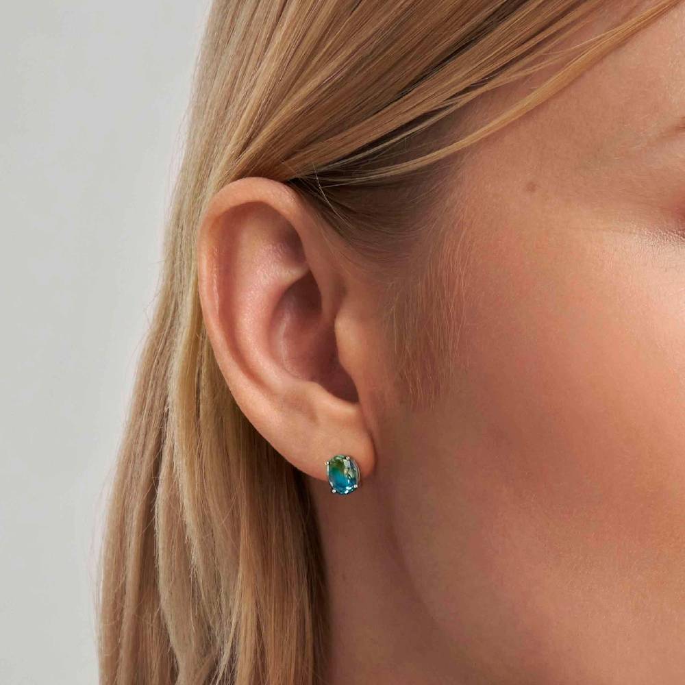 Nomination Orecchini Symbiosi In Argento Con Pietre Bicolor