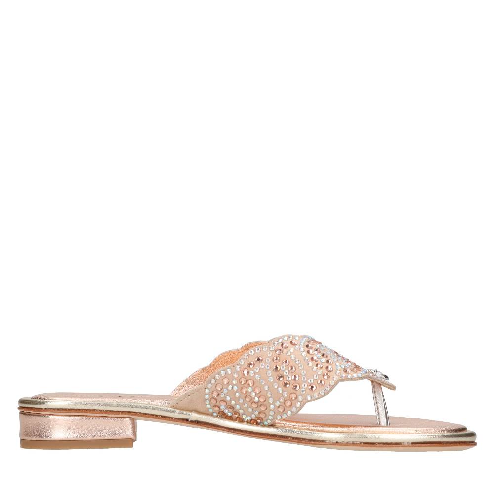 PASQUINI Mules In Camoscio E Strass