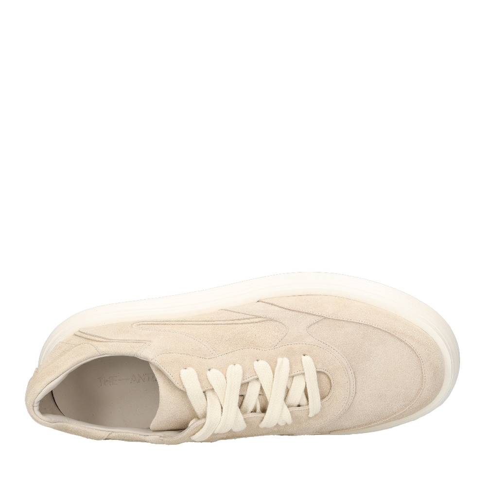 THE ANTIPODE Sneakers Modello PAUL 515 In Camoscio