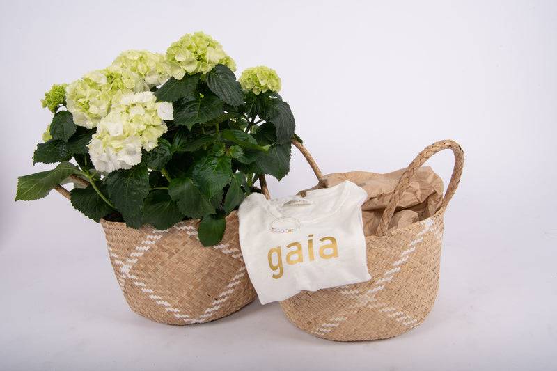 Olive E Miele BRACELET NAME