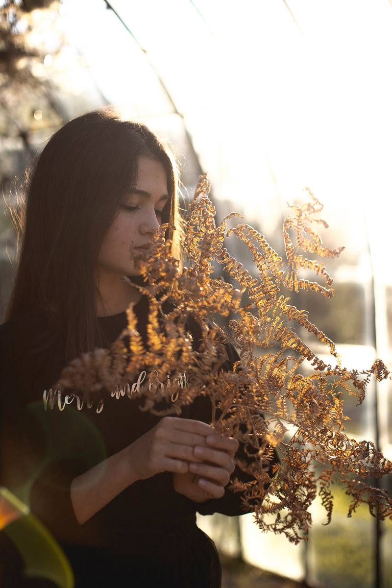 Olive E Miele T-SHIRT MERRY AND BRIGHT BLACK