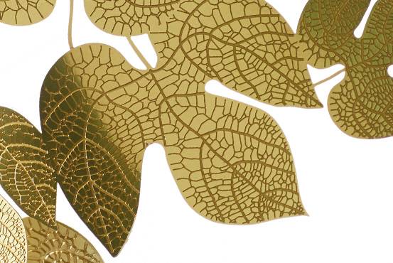 Opinion Ciatti Frutteti Gherardo Frassa, Gianluca Bianchi / 2014-2017