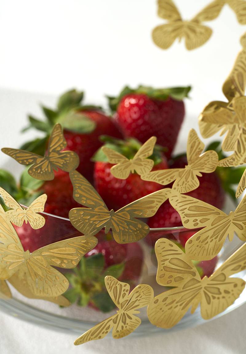 Opinion Ciatti Frutteti Gherardo Frassa, Gianluca Bianchi / 2014-2017