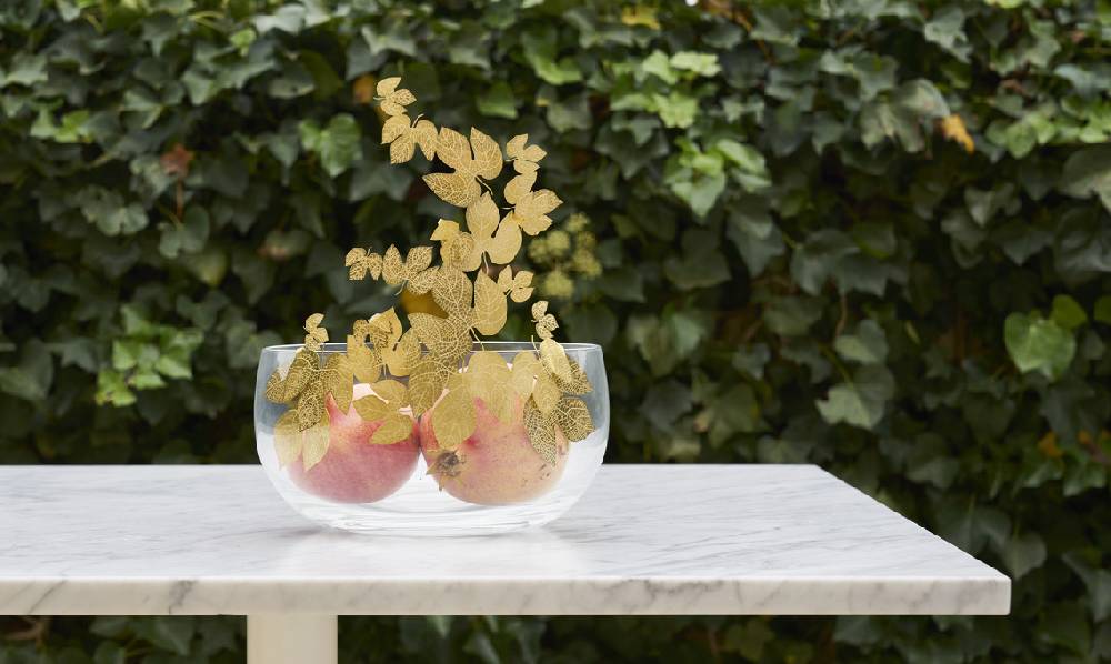 Opinion Ciatti Frutteti Gherardo Frassa, Gianluca Bianchi / 2014-2017