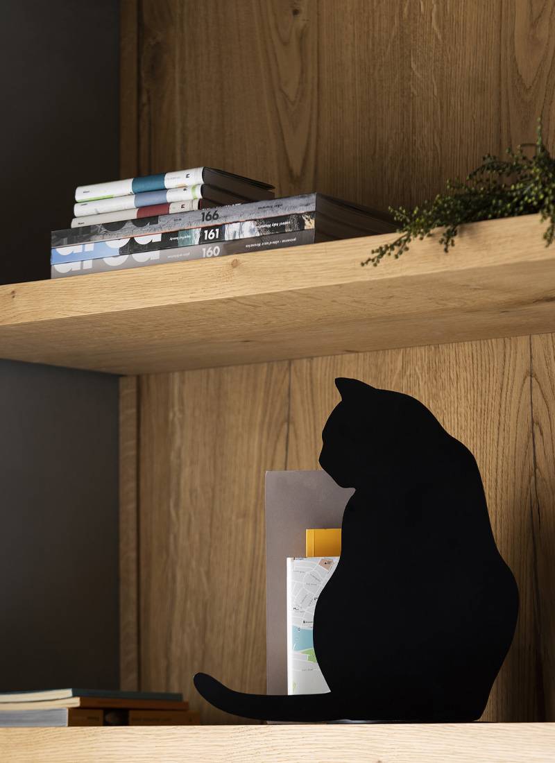 Opinion Ciatti Ombres De Chats Angelo Barcella / 2010 - 2017