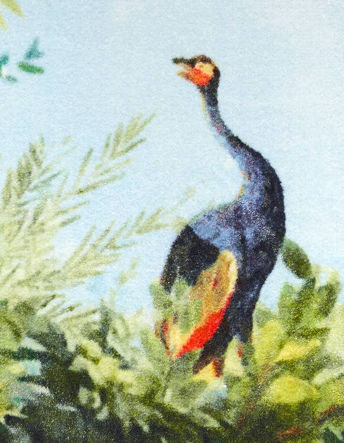 Opinion Ciatti Cielo & Terra Marcantonio / 2019