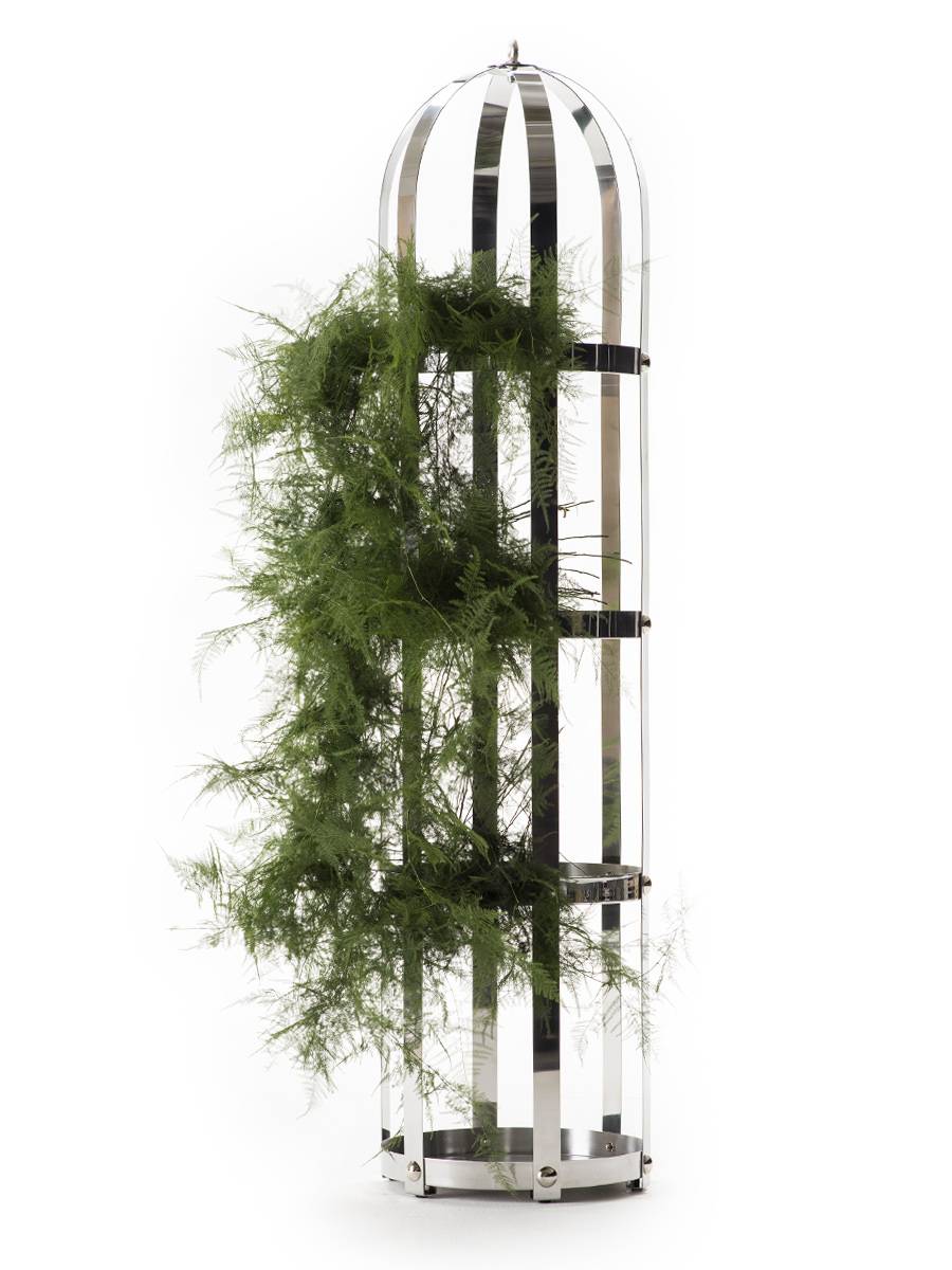 Opinion Ciatti La Gabbia Lapo Ciatti / 2015