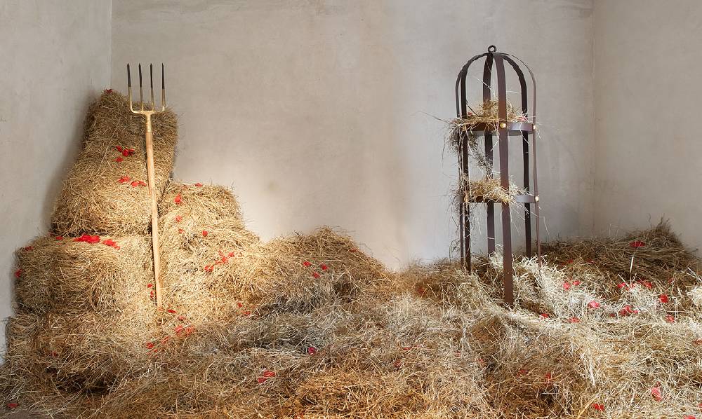 Opinion Ciatti La Gabbia Lapo Ciatti / 2015