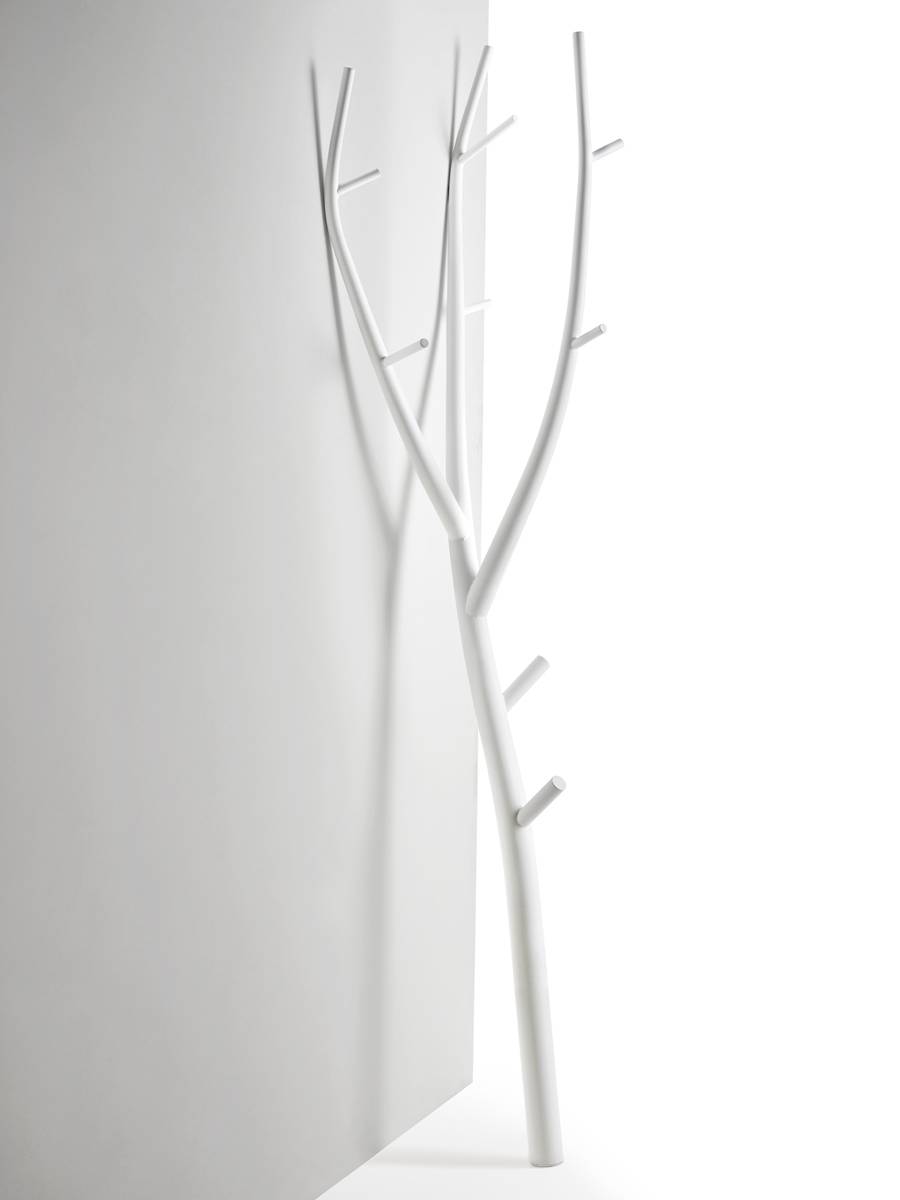 Opinion Ciatti Ramo Marcantonio / 2019