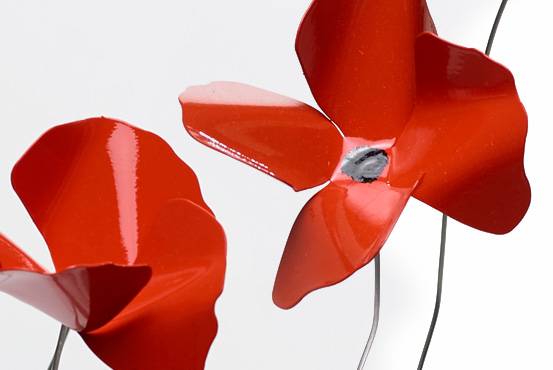 Opinion Ciatti Papavero Delicato Gherardo Frassa / 2017