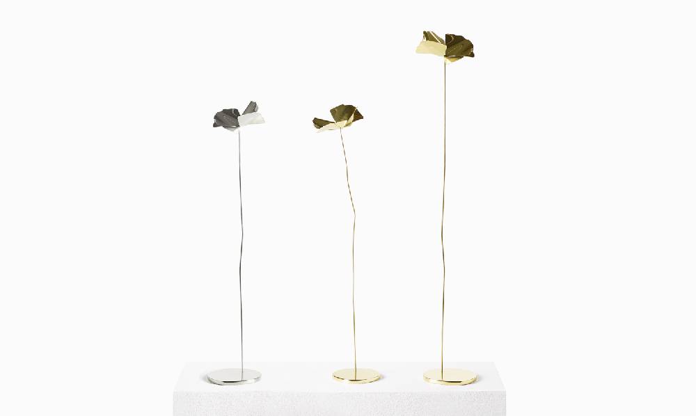 Opinion Ciatti Papavero Delicato Gherardo Frassa / 2017