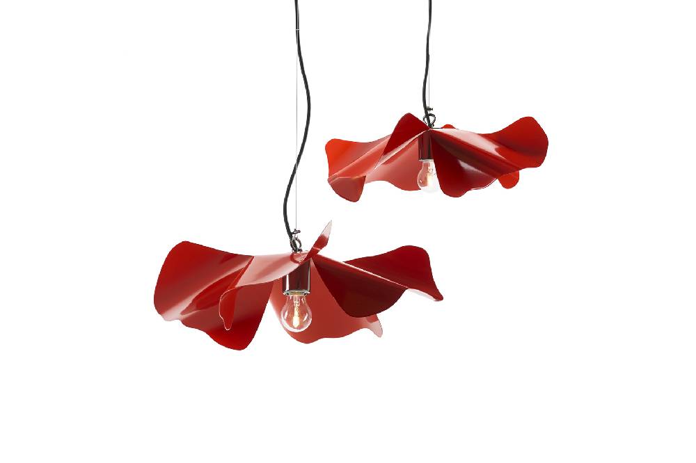 Opinion Ciatti PAPAVERO RAGGIANTE Gherardo Frassa / 2012-2018