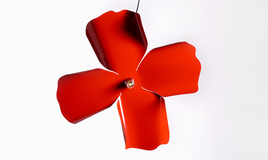 Opinion Ciatti PAPAVERO RAGGIANTE Gherardo Frassa / 2012-2018