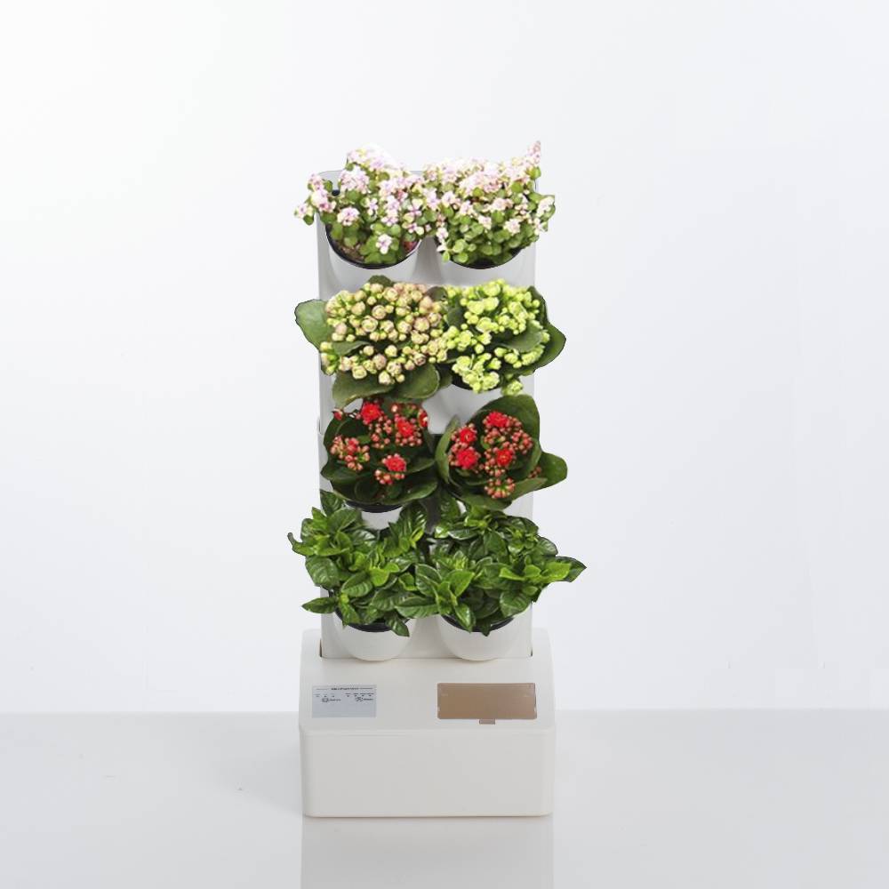 Oresteluchetta GIARDINO VERTICALE CON VASI AUTO INNAFFIANTI PER ESTERNO / INTERNO ALLOSH 8