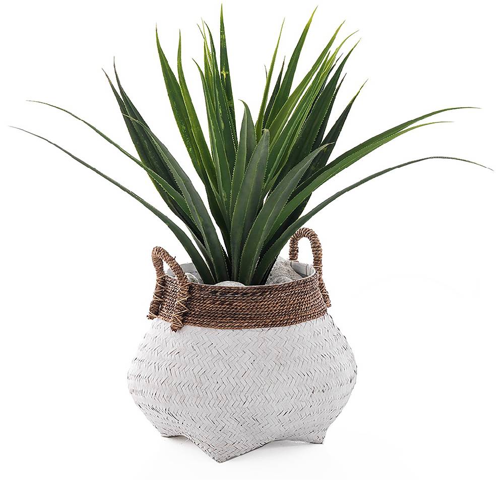 Oresteluchetta Cesto BALON Large