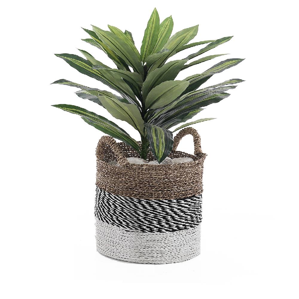 Oresteluchetta Cesto SEMARANG Medium