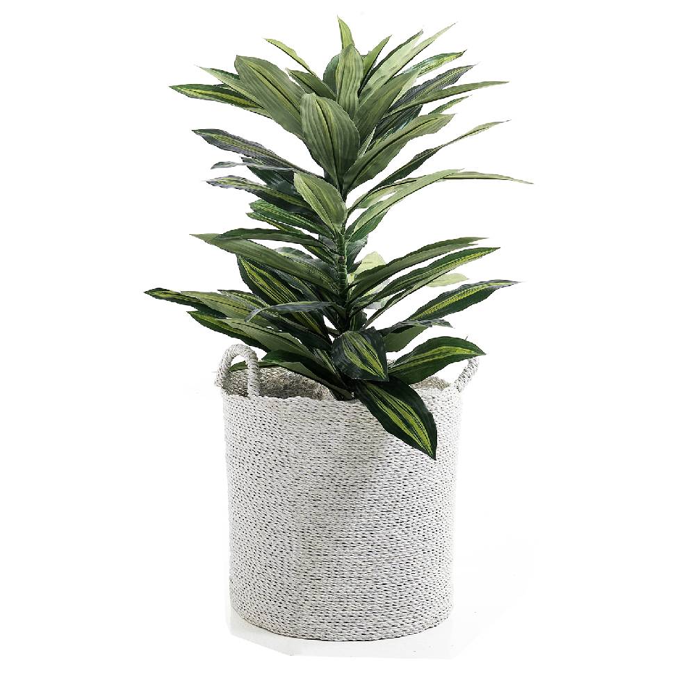 Oresteluchetta Cesto SULAWESI Medium