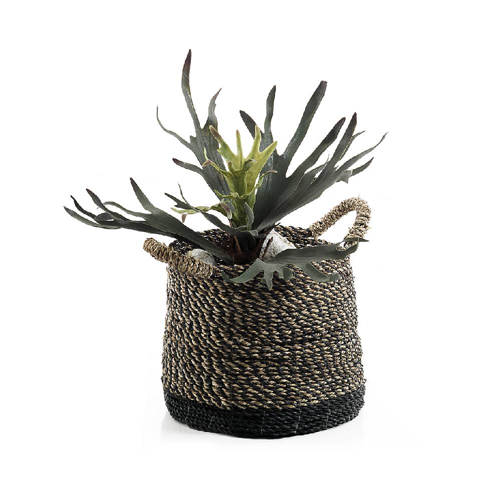 Oresteluchetta Cesto SUMATRA Medium