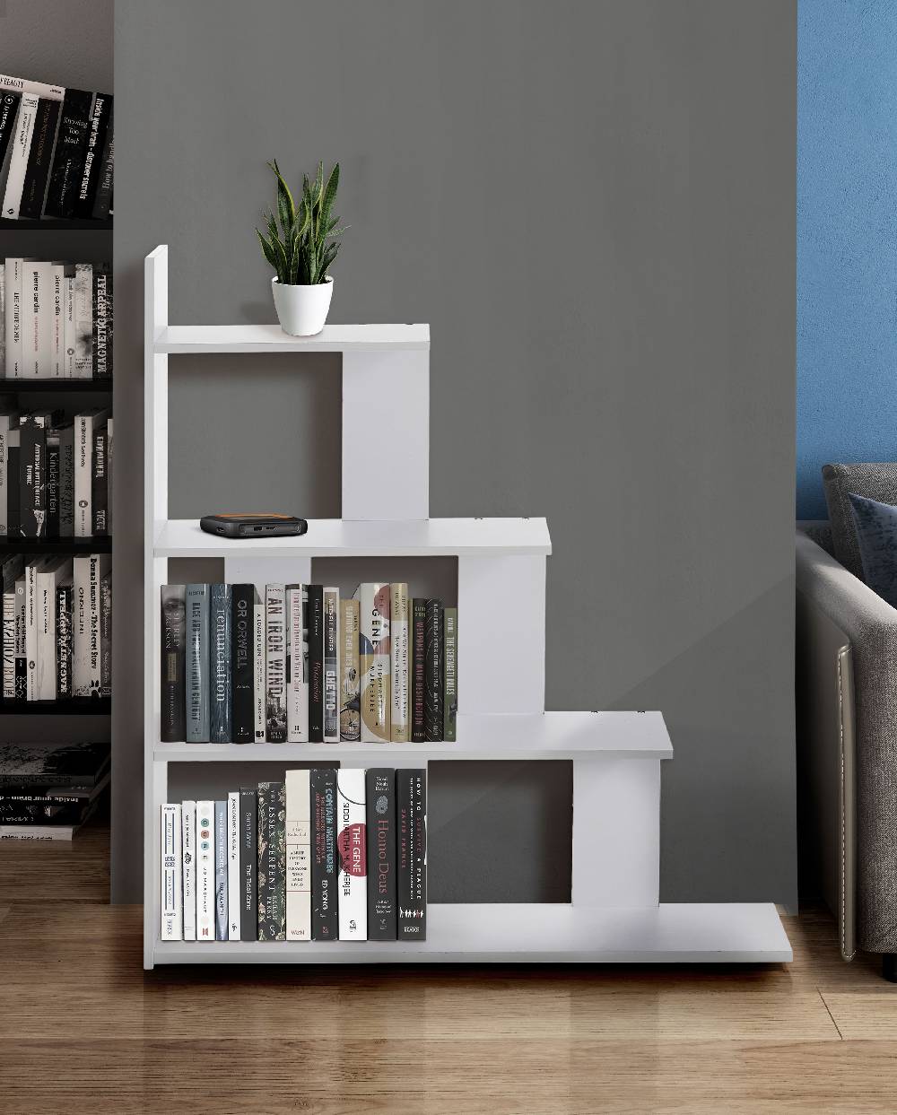 Oresteluchetta LIBRERIA ERIE