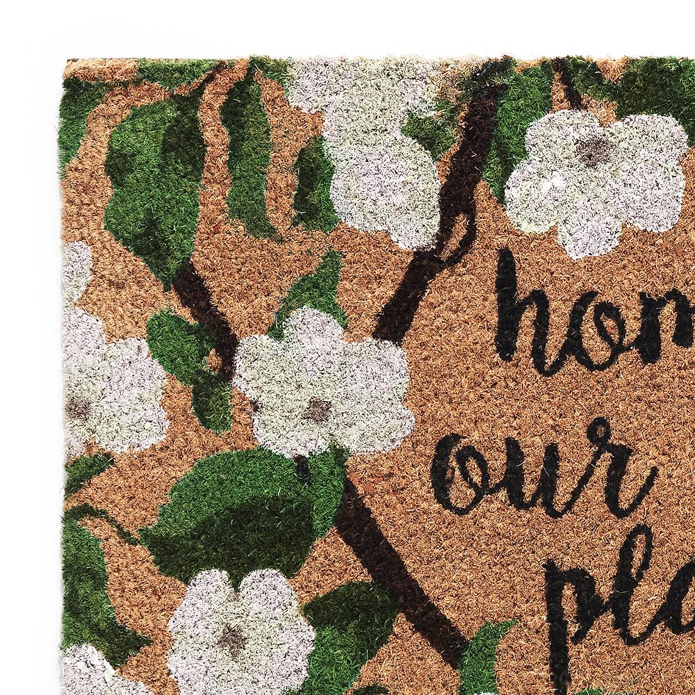 Oresteluchetta Zerbino ACE