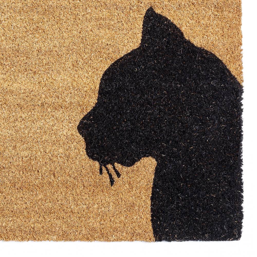 Oresteluchetta Zerbino KITTEN