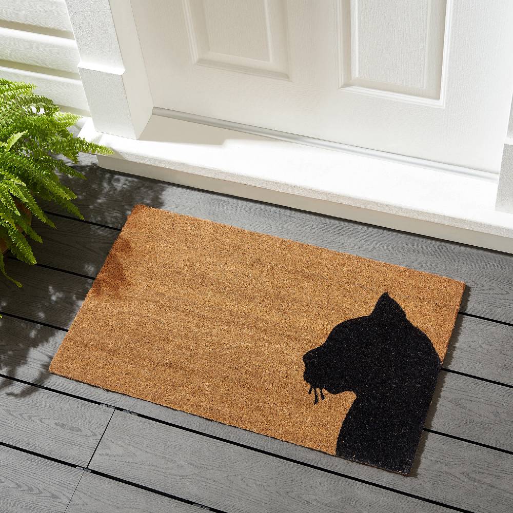 Oresteluchetta Zerbino KITTEN