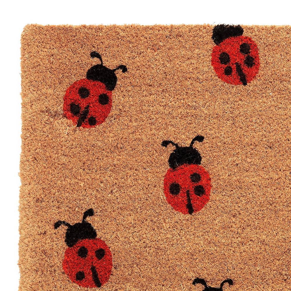 Oresteluchetta Zerbino LADYBUG