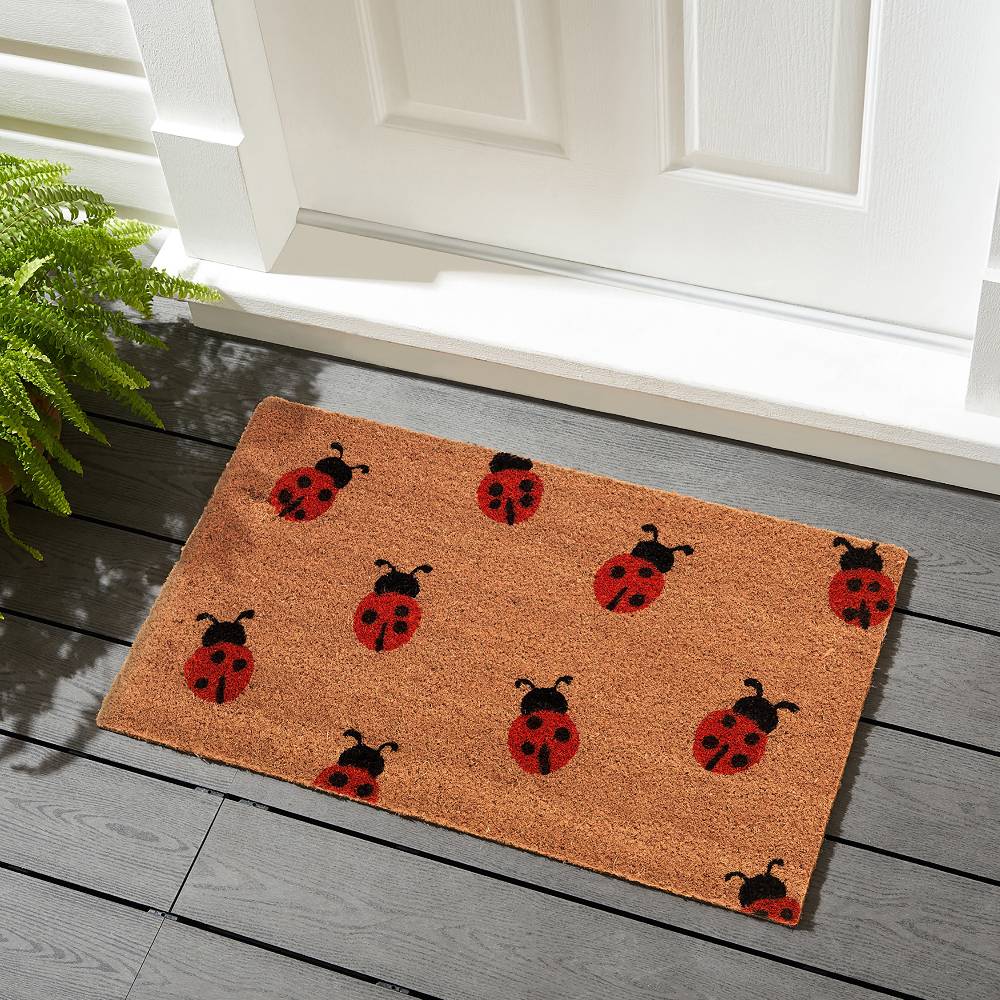 Oresteluchetta Zerbino LADYBUG